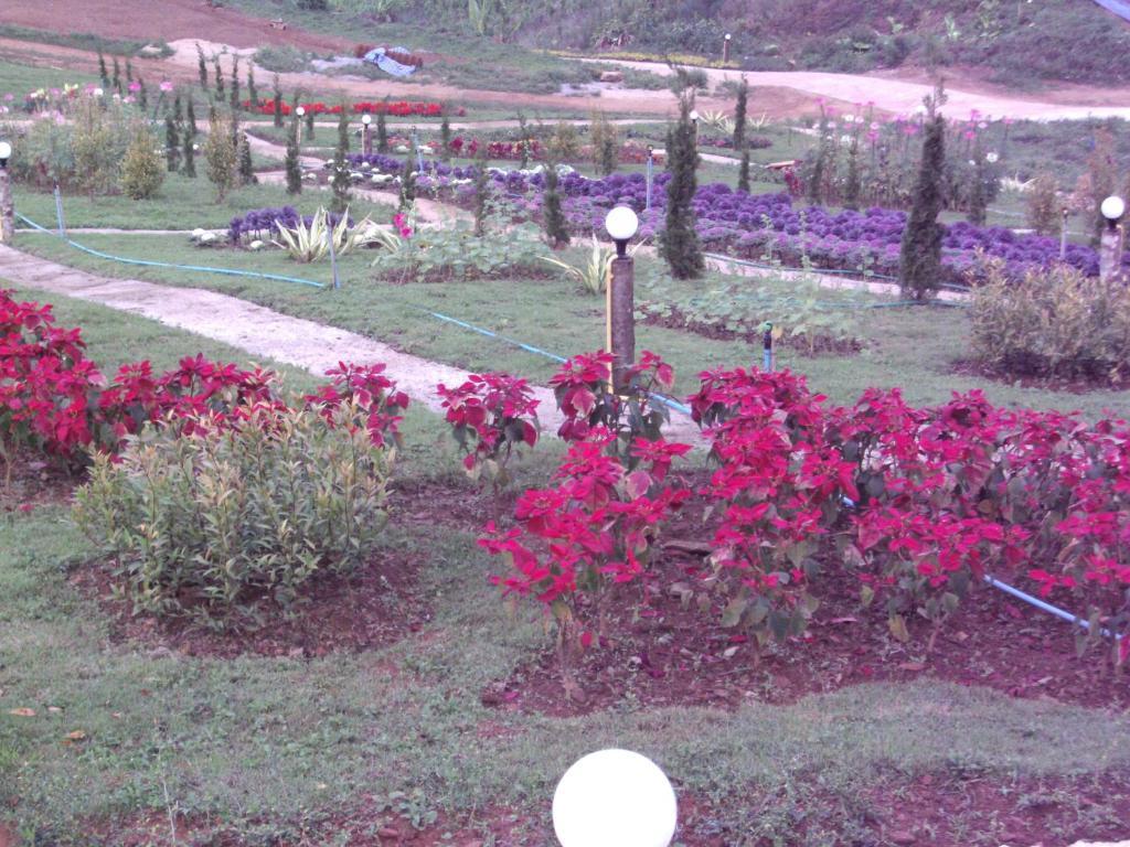 Phu Mok Dok Mai Resort Wiang Kaen Exterior photo
