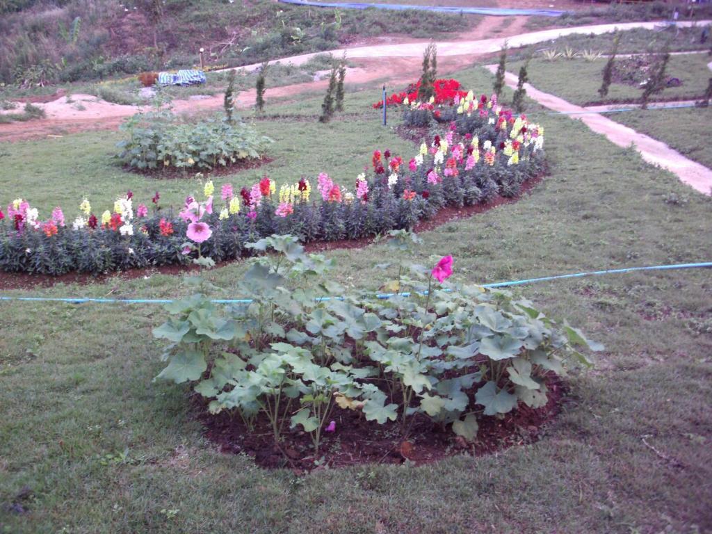 Phu Mok Dok Mai Resort Wiang Kaen Exterior photo
